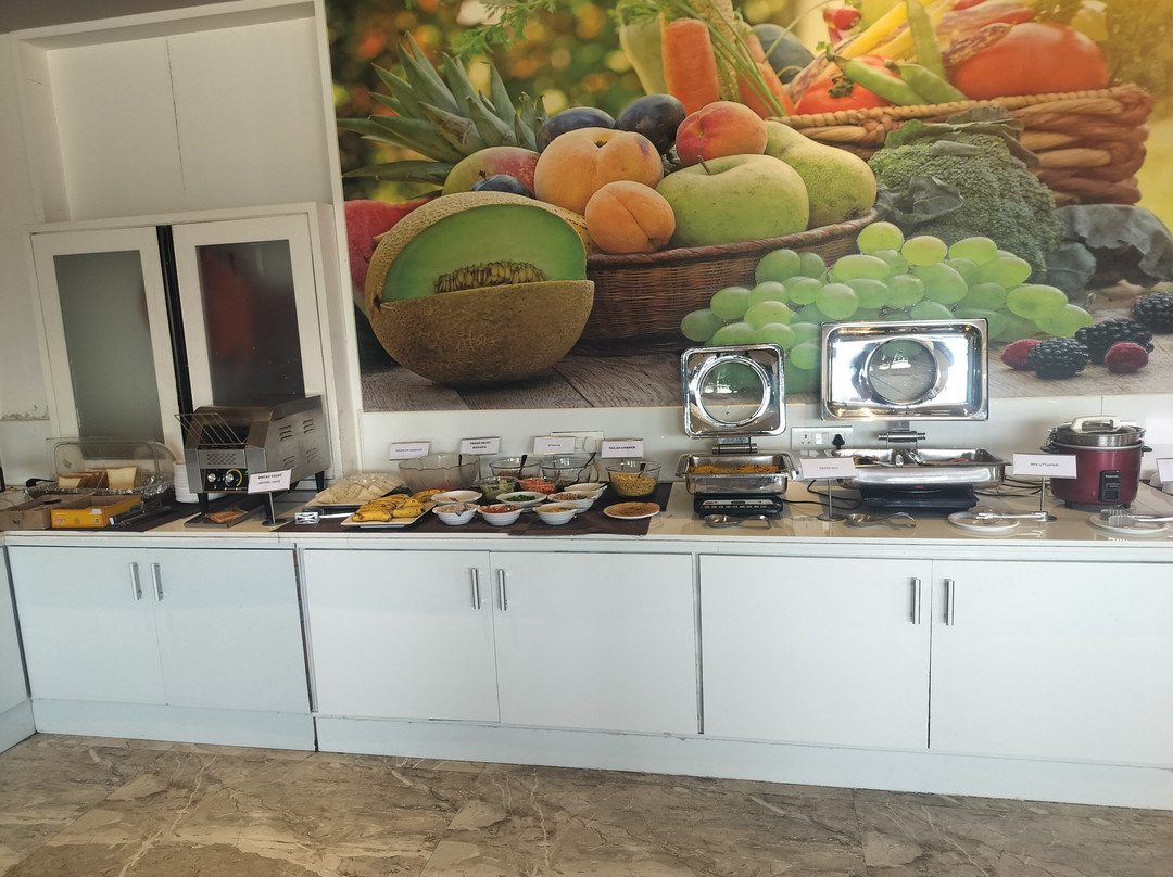 VITS The Somnath Gateway主图