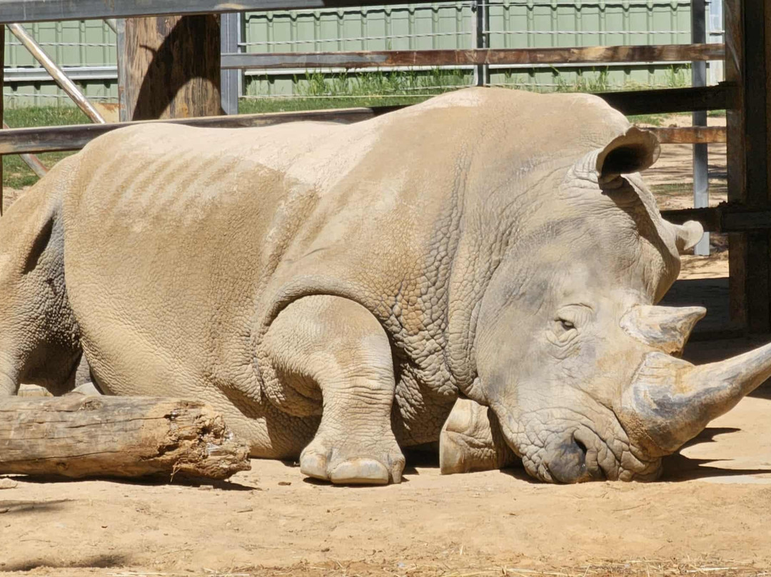 国家动物园及水族馆-堪培拉必去景点
