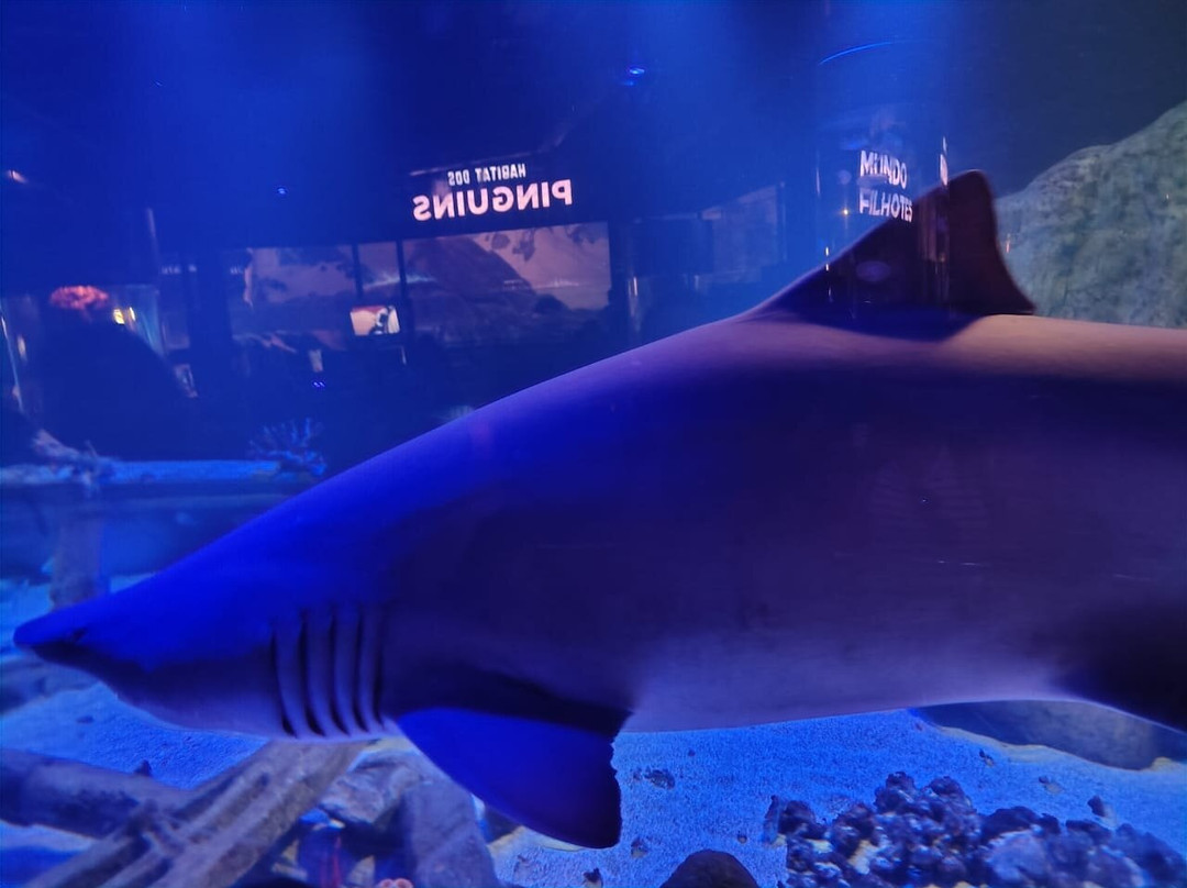 Oceanic Aquarium-康泊琉海水浴场必去景点