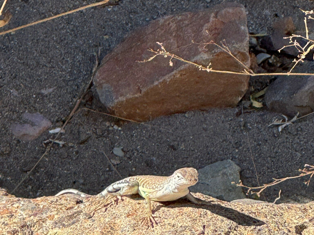 Get Lost Tours-Terlingua必去景点