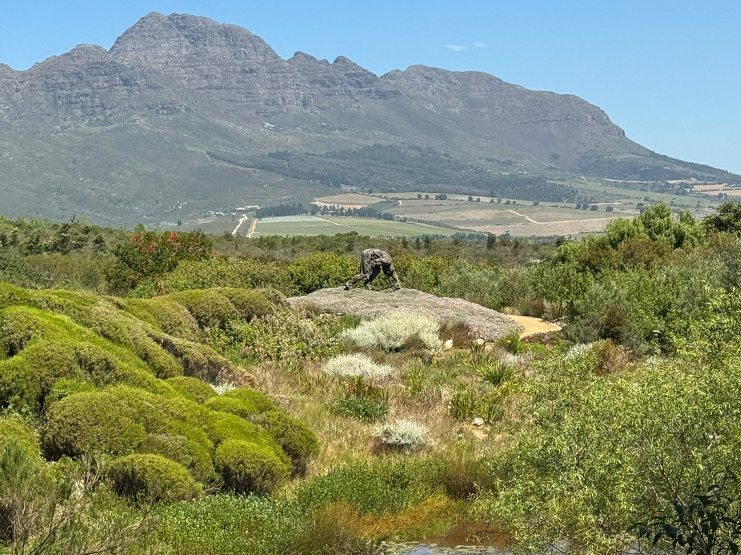 Dylan Lewis Sculpture  Garden-斯泰伦博斯必去景点