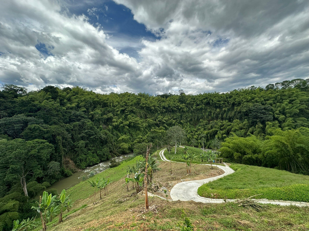 Finca Las Palmitas - Quindio