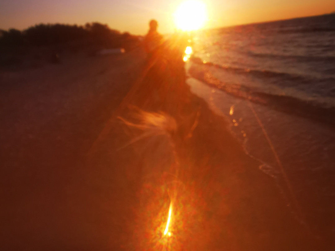 Erika's Horse Farm Kos-Marmari必去景点