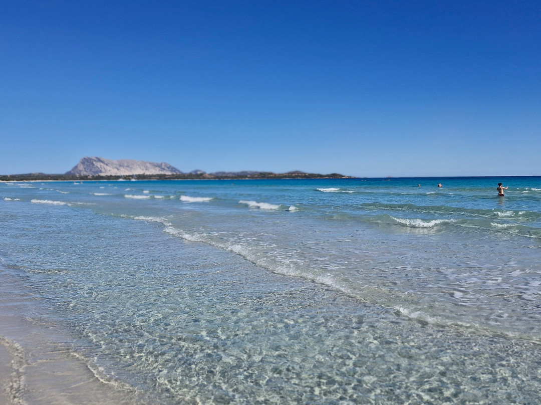 Hotel Terradimare Resort & Spa