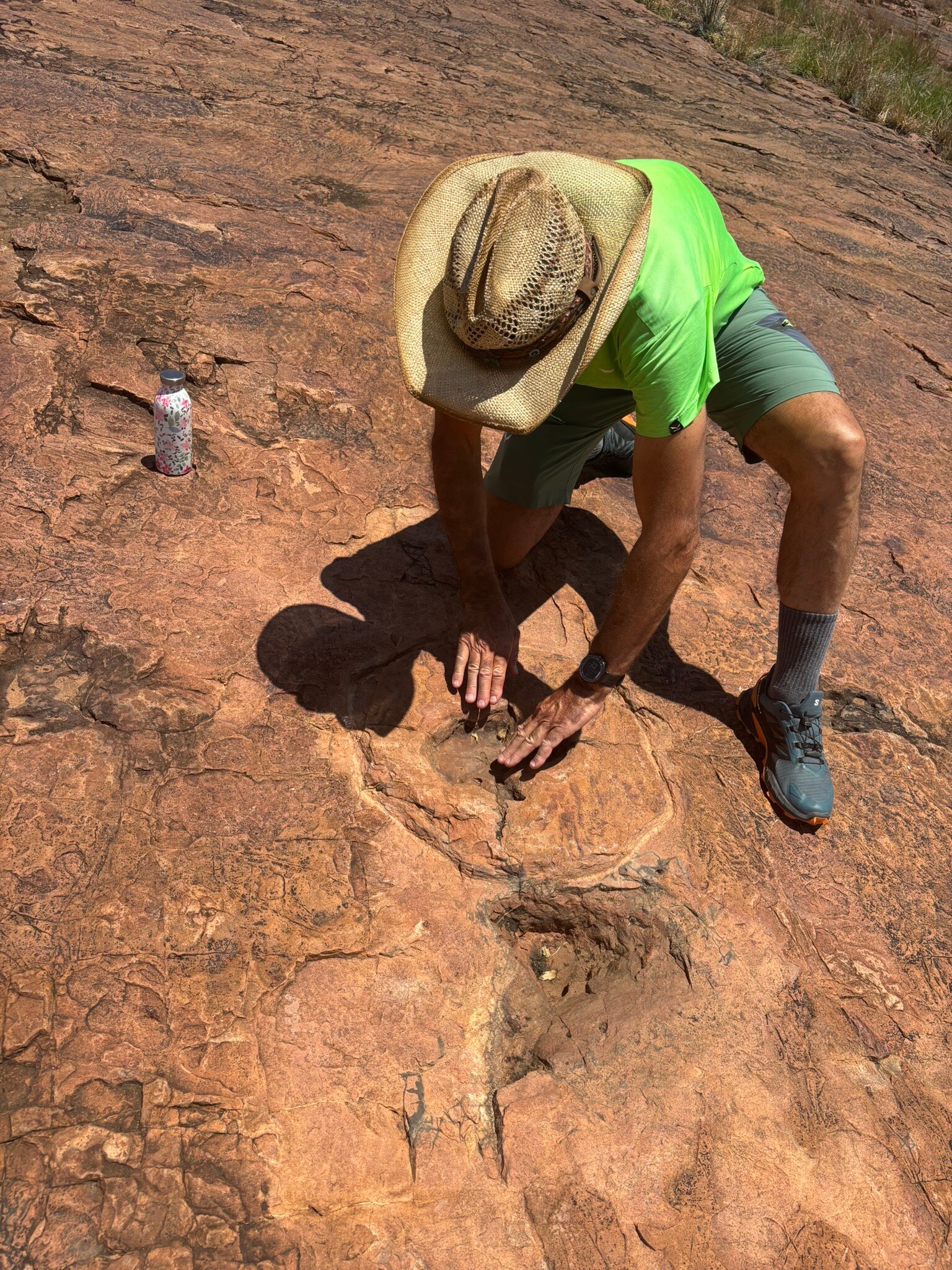 Dinosaur's Tracks-官方