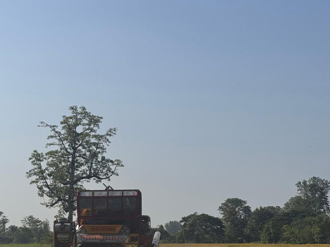 Aj Adventures-清迈必去景点