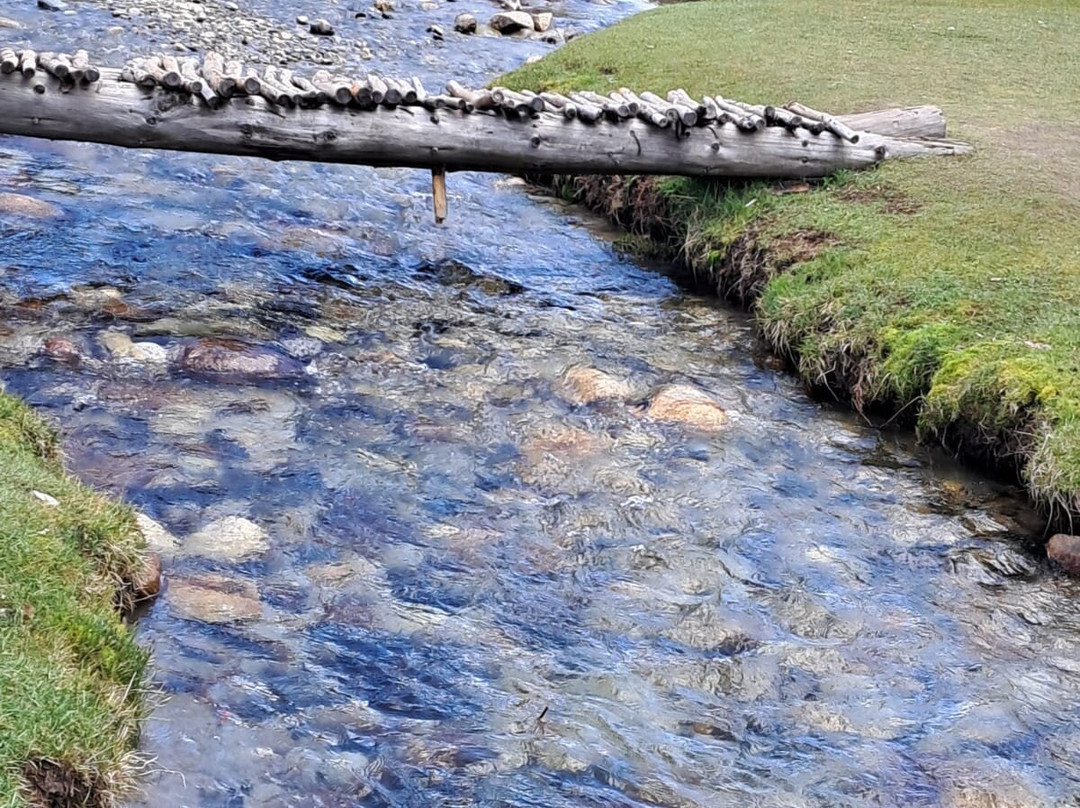 Sonu Driver Himachal-Solan必去景点