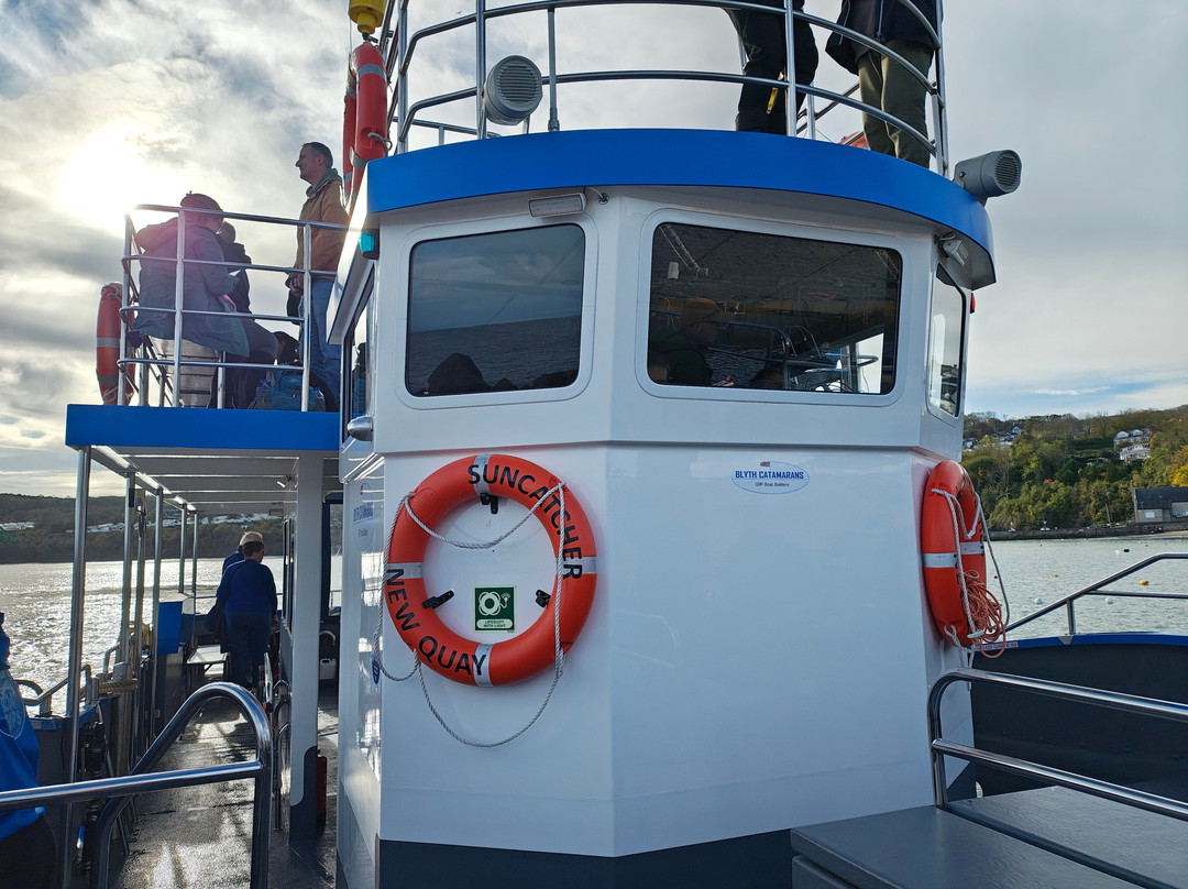 Dolphin Spotting Boat Trips (by New Quay Boat Trips)-纽基必去景点
