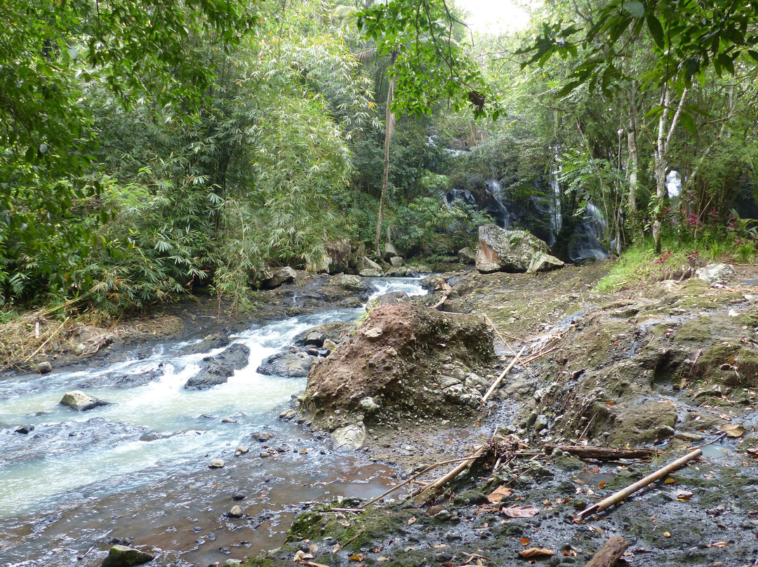 Sing Sing Angin Waterfall-塞莱马德加必去景点