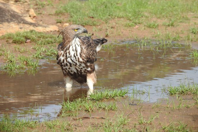 Kumudu Lanka Leisure-Raddolugama必去景点