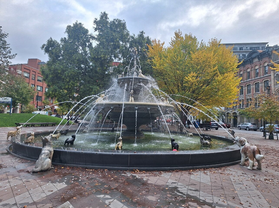 Berczy Park-多伦多必去景点