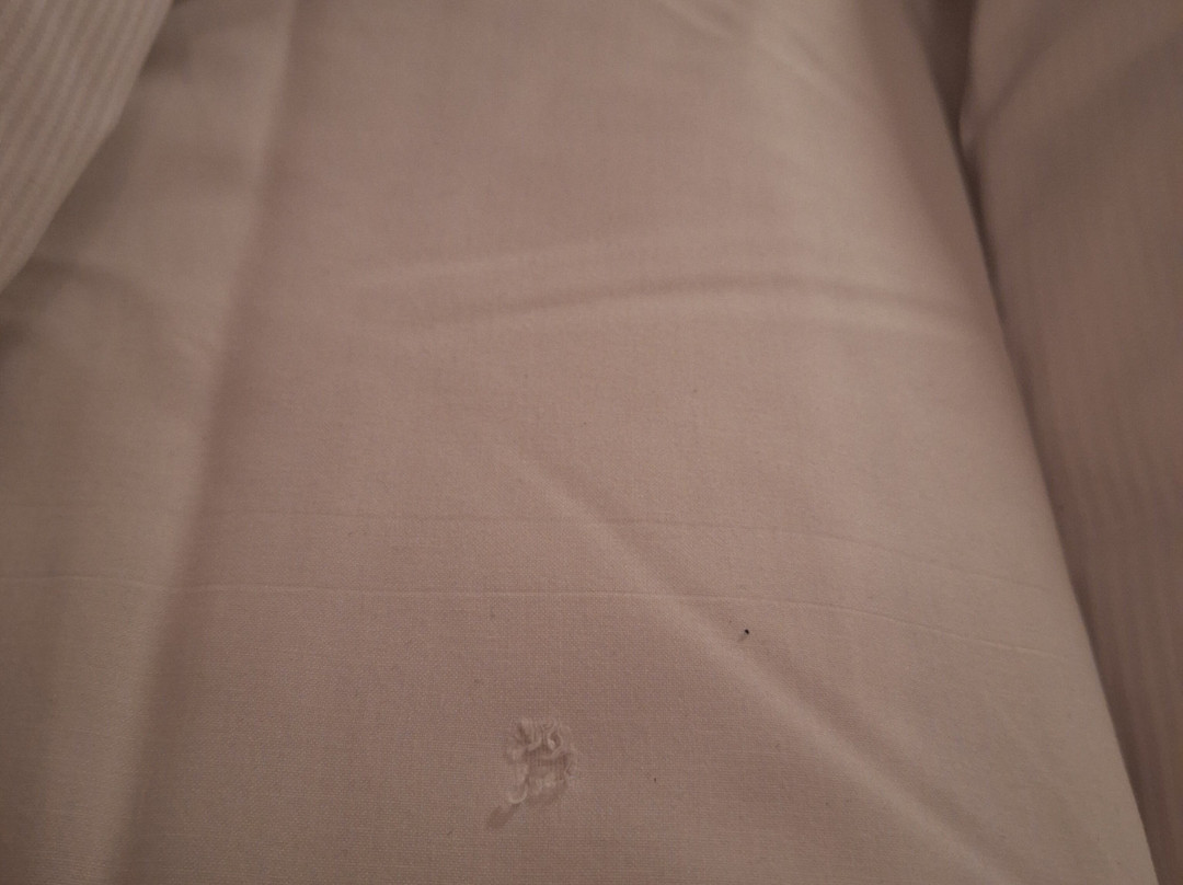 Best Western Plus Hotel Savoy主图