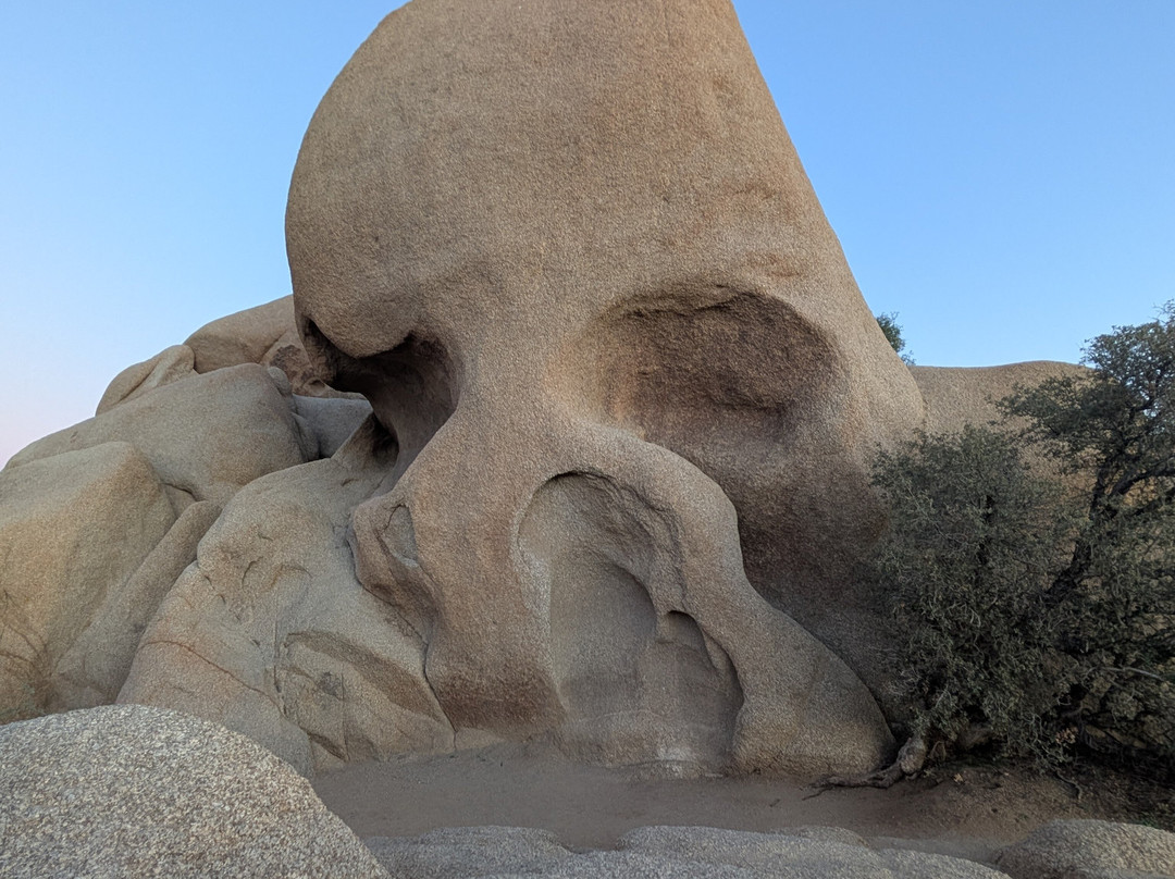 Joshua Tree National Park-约书亚树必去景点