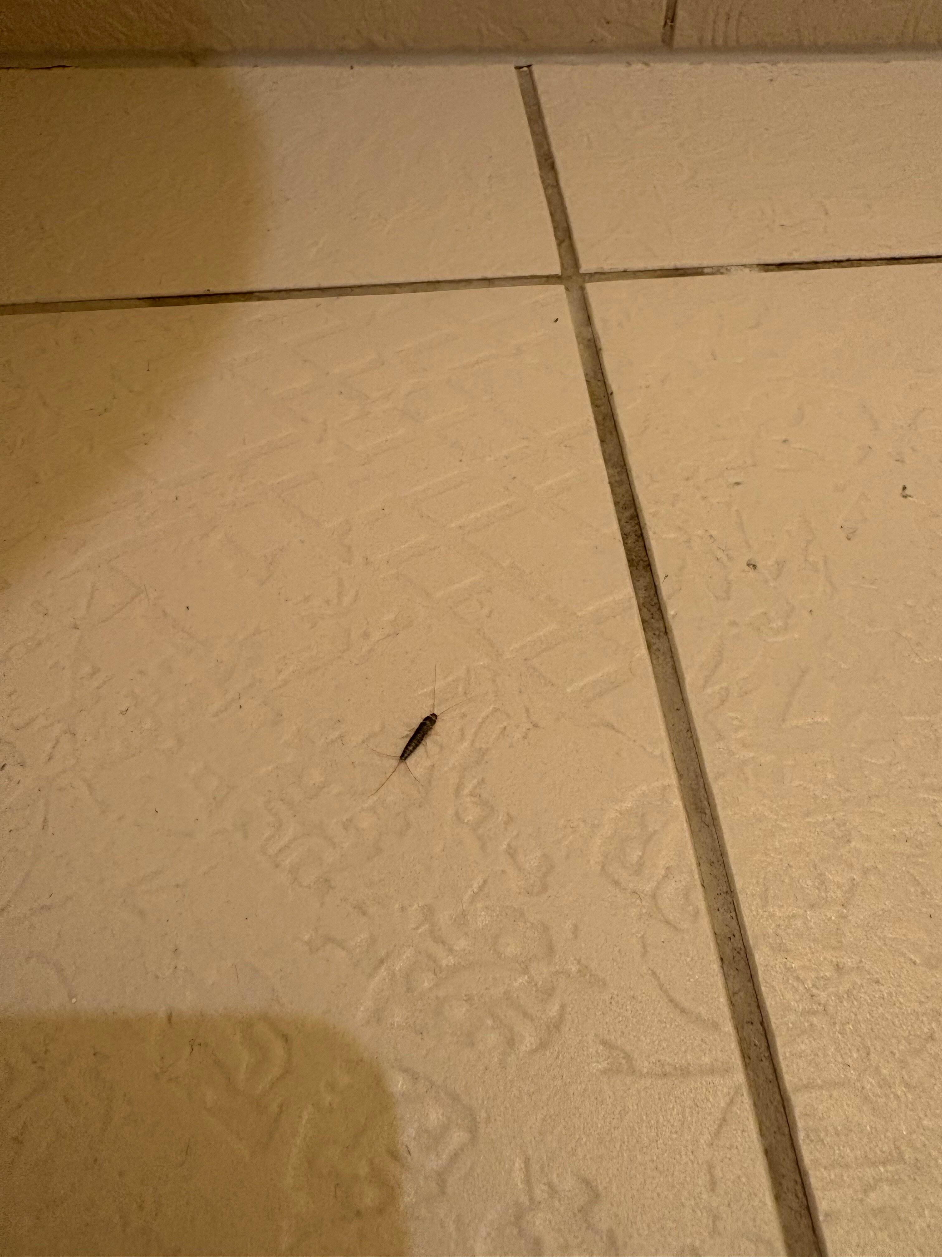 Estonia Resort Hotel & Spa-官方