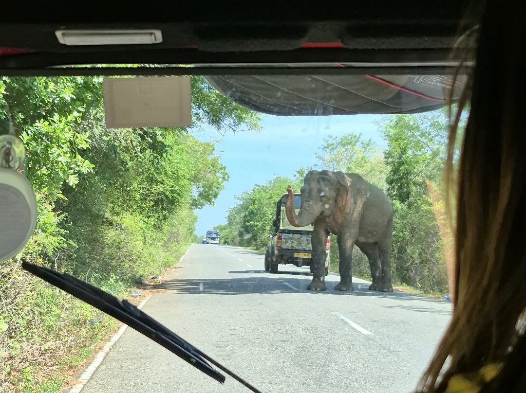 Tuk Tuk Rental Negombo-尼甘布必去景点