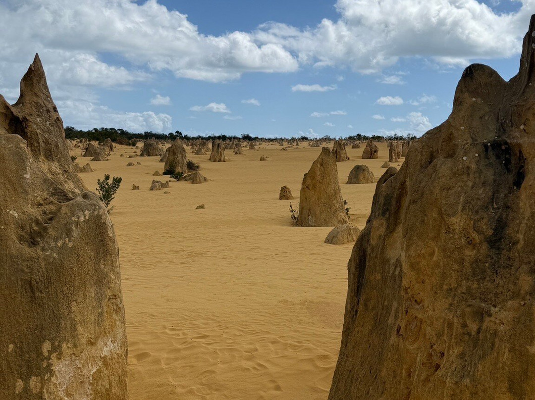 The Pinnacles Desert-Nambung必去景点