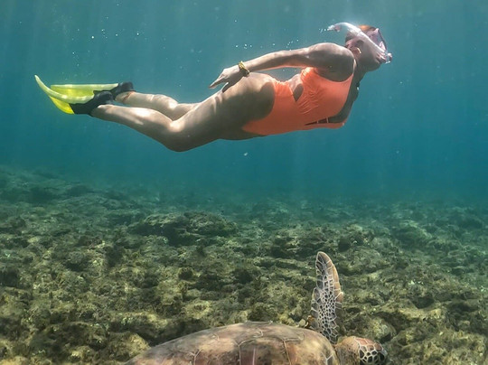 INFO Passeios Noronha-费尔南多-迪诺罗尼亚群岛必去景点