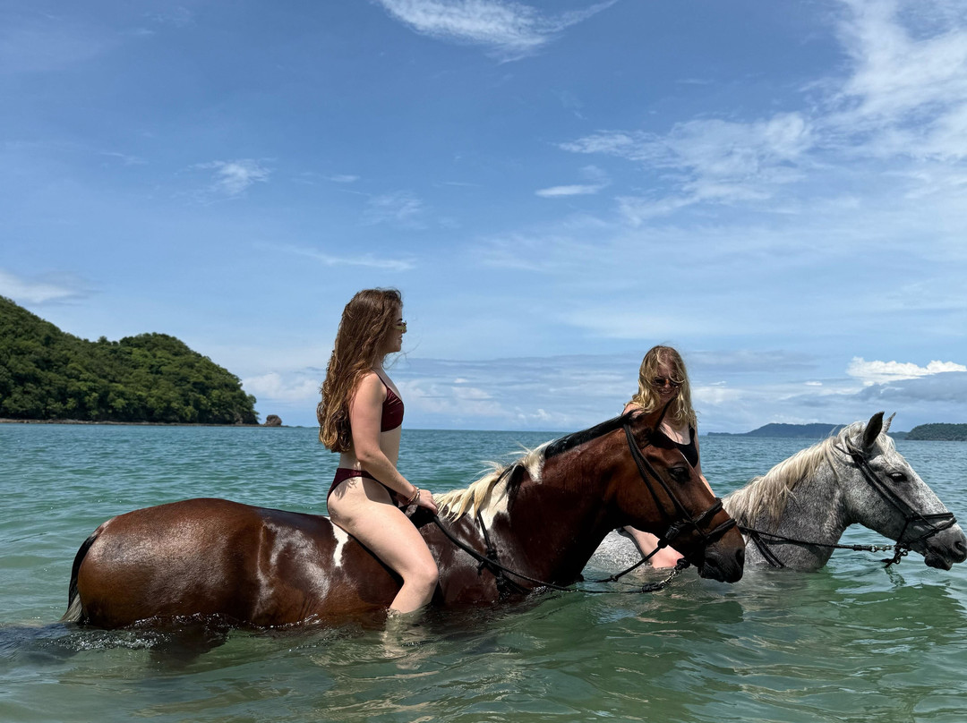 Riding Escapes-Puerto Viejo必去景点