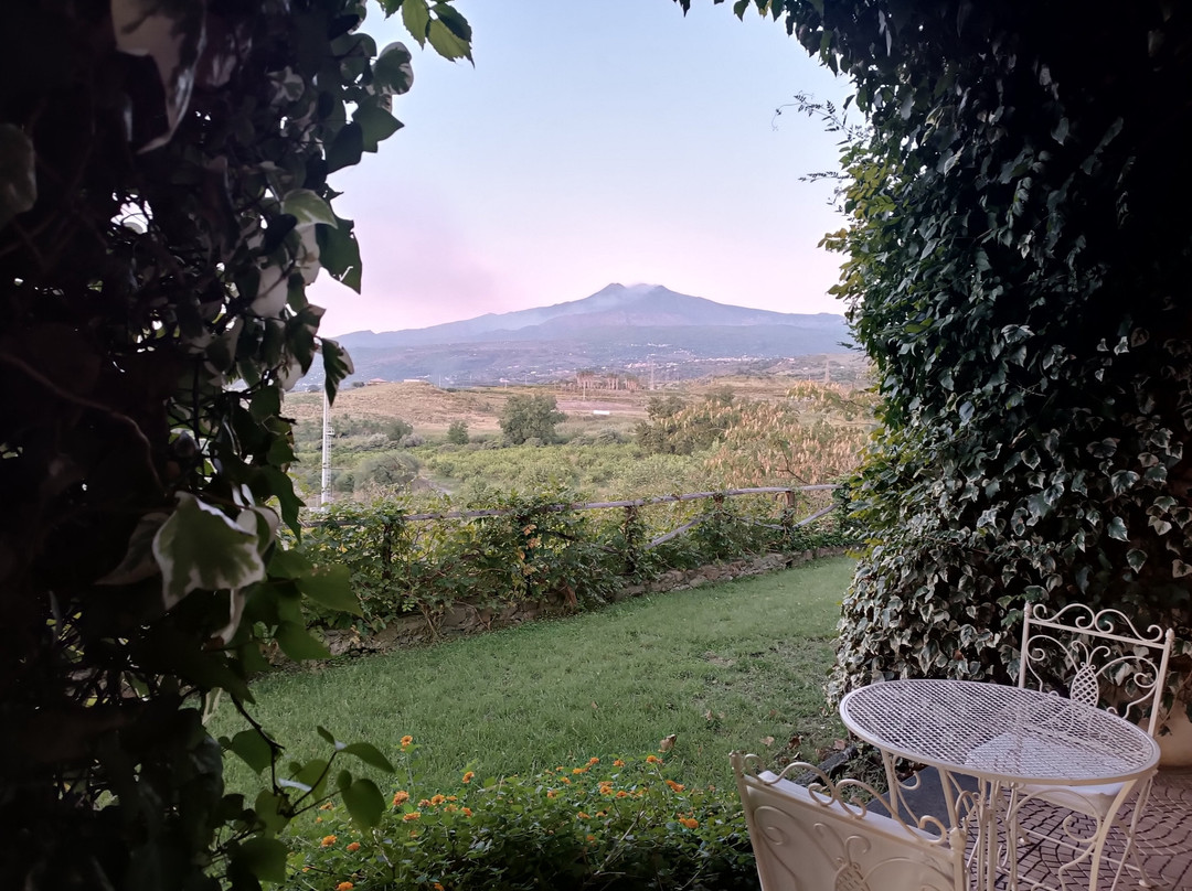 Antico Borgo Agriturismo & Country Hotel主图