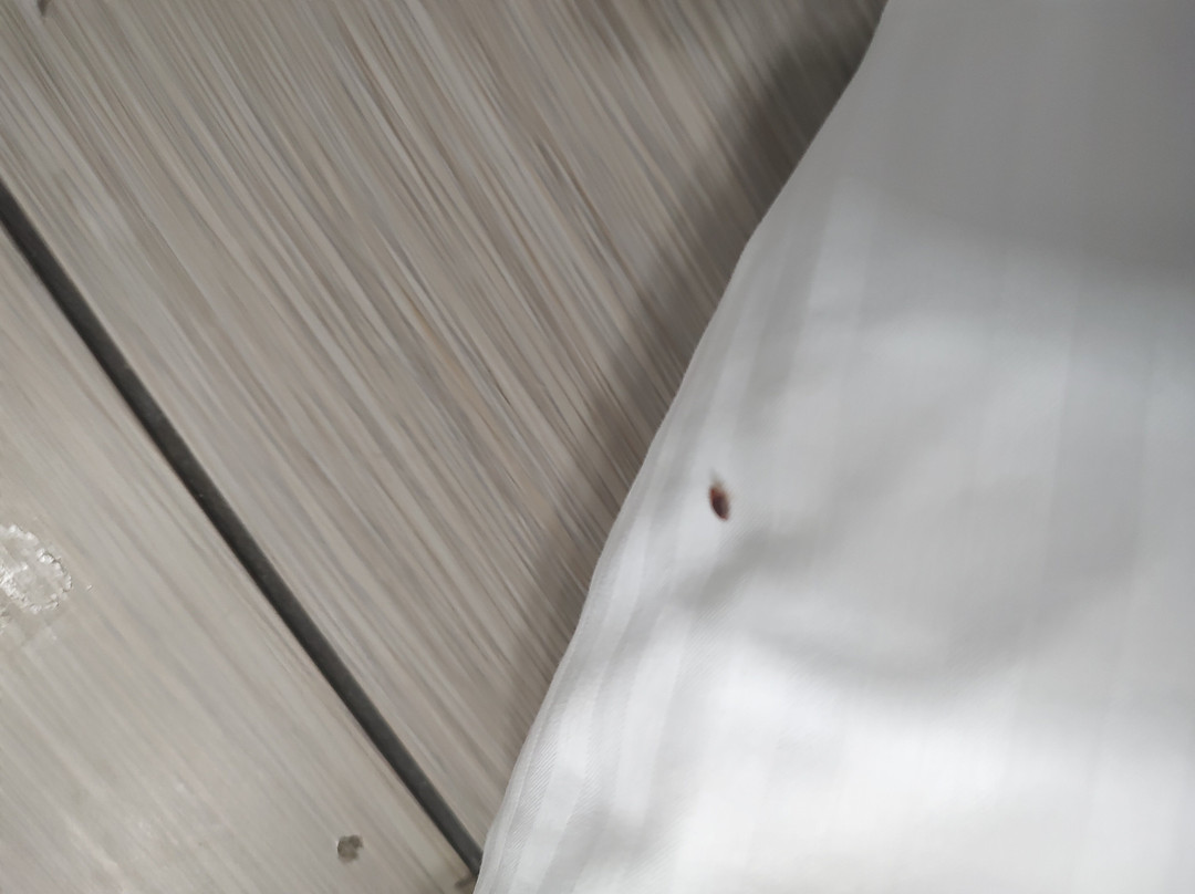 Best Western Airport Inn主图