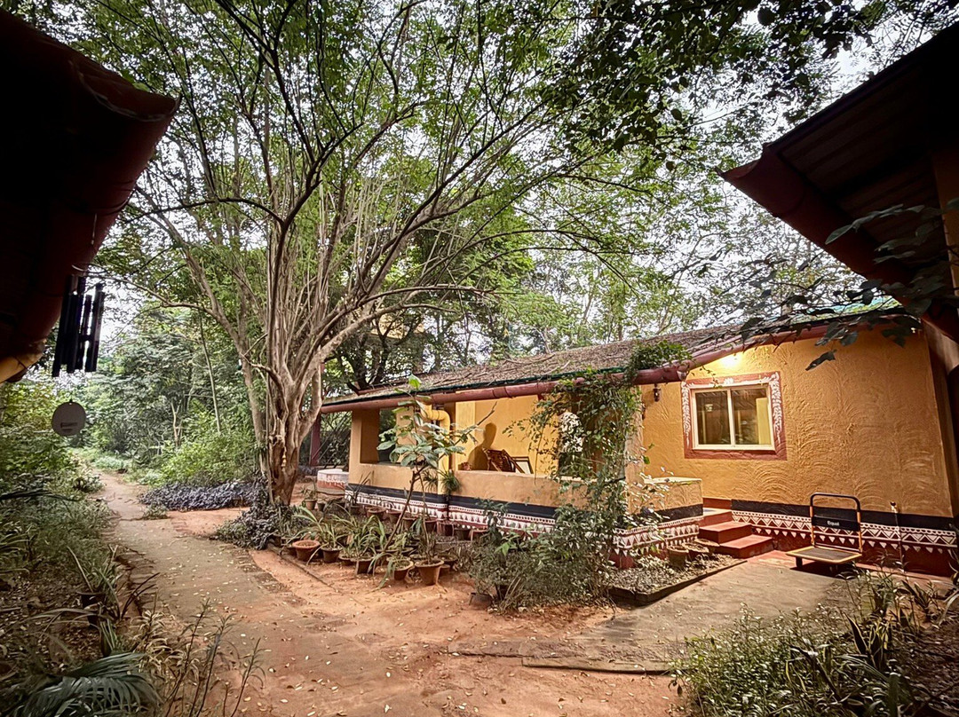 Svanir Wilderness Ecostay主图