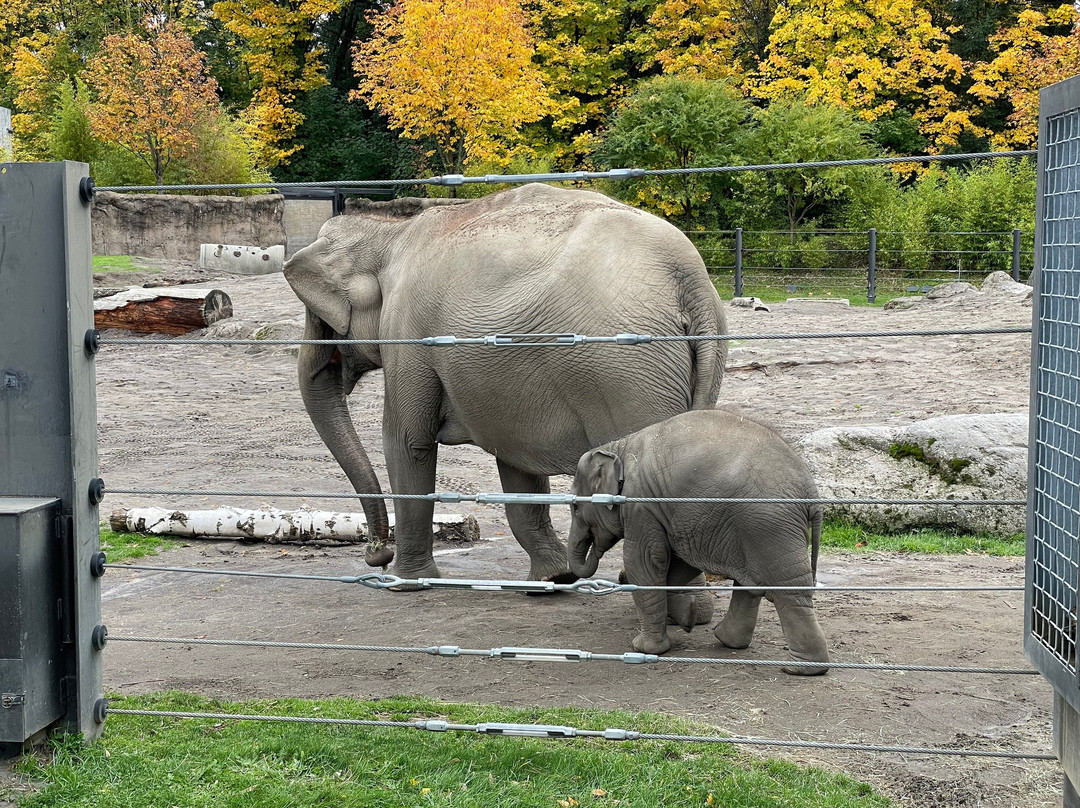 俄勒冈动物园-波特兰必去景点