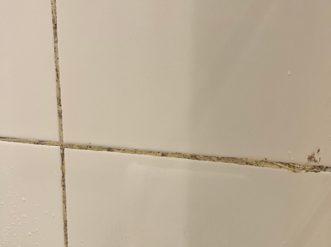 Lemon Tree Hotel, Hinjawadi, Pune主图