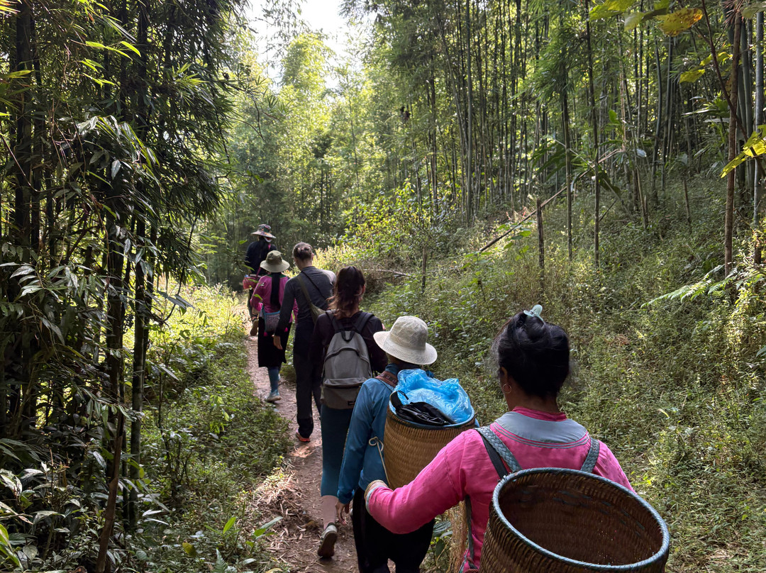 Comlam Sapa Trekking & motorbike Tours-沙巴必去景点