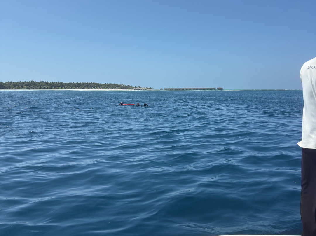 Mahi Mahi Dive & Watersports-Dhiffushi Island必去景点
