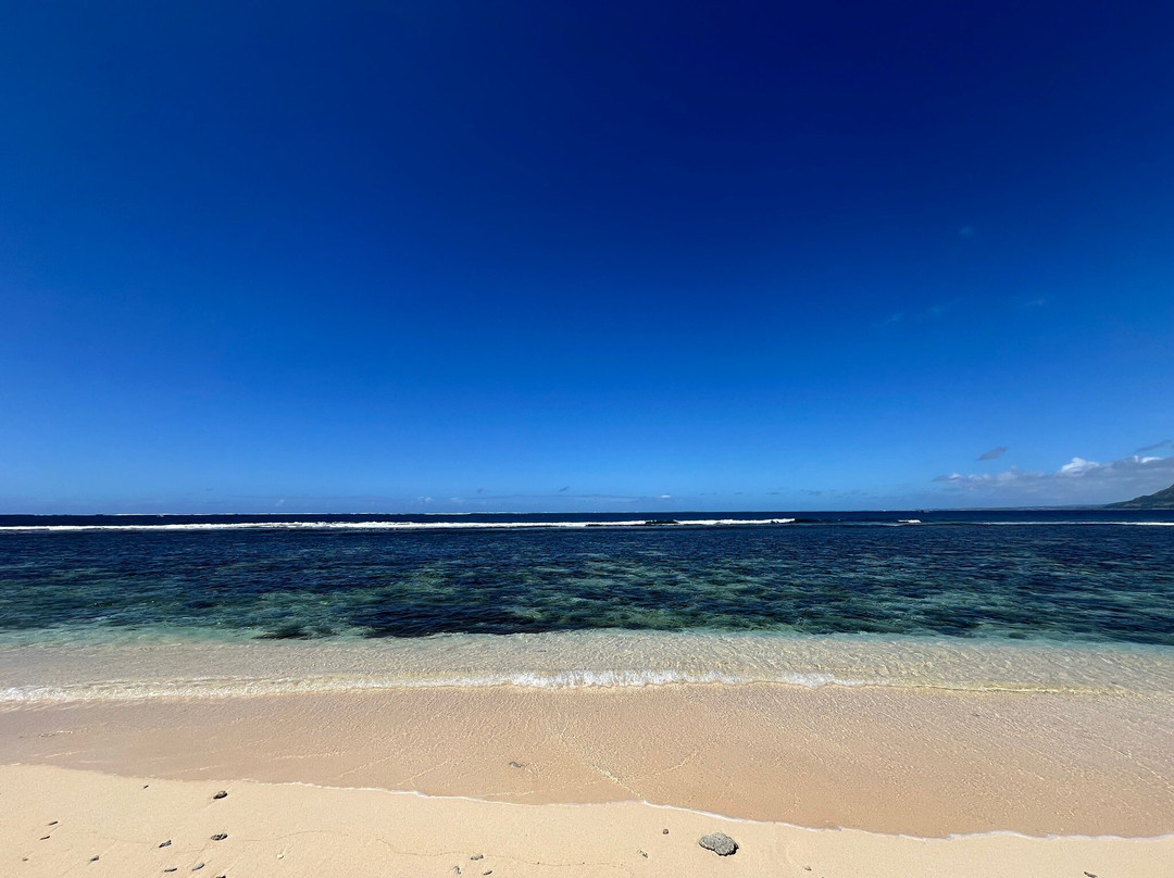 Slice Of Life-卓得多斯必去景点