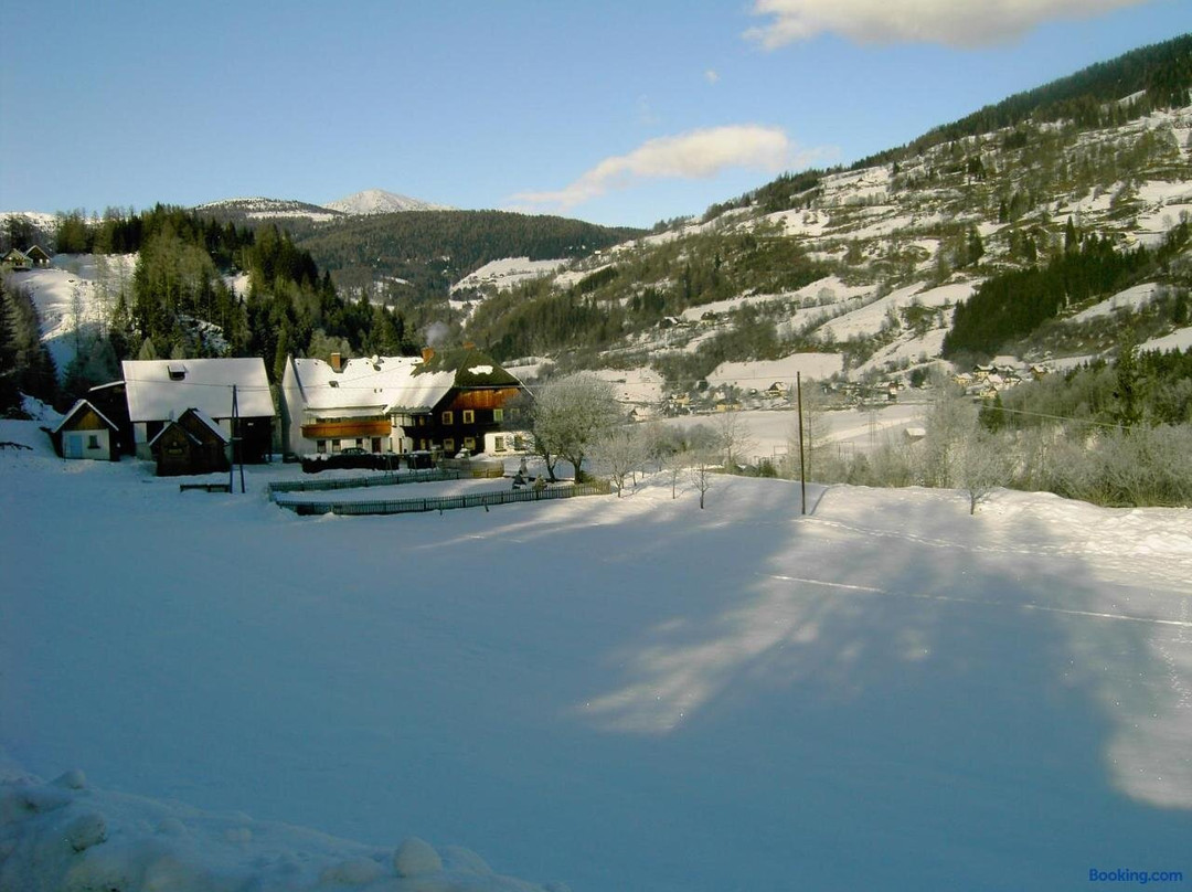 Stadl an der Mur酒店住宿-Pension Edlinger