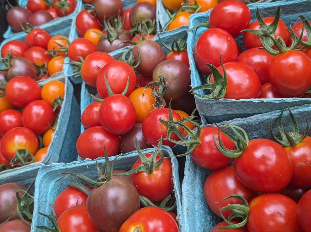Clutch Farm - seasonal farm stand-Salmo必去景点