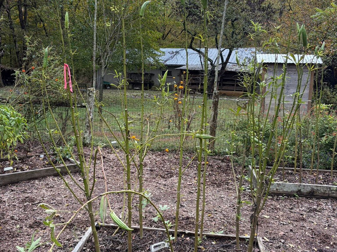 Edwin and Percy Warner Parks-纳什维尔必去景点