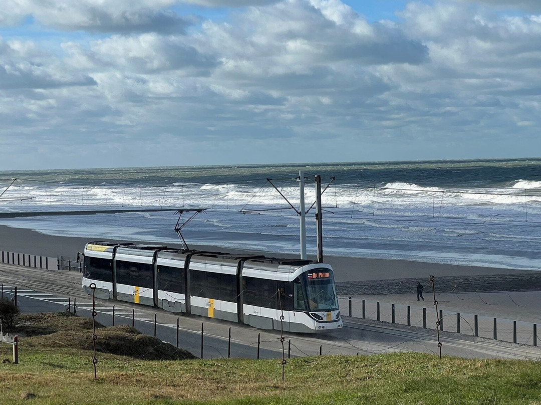 贝拉豪景园大酒店主图