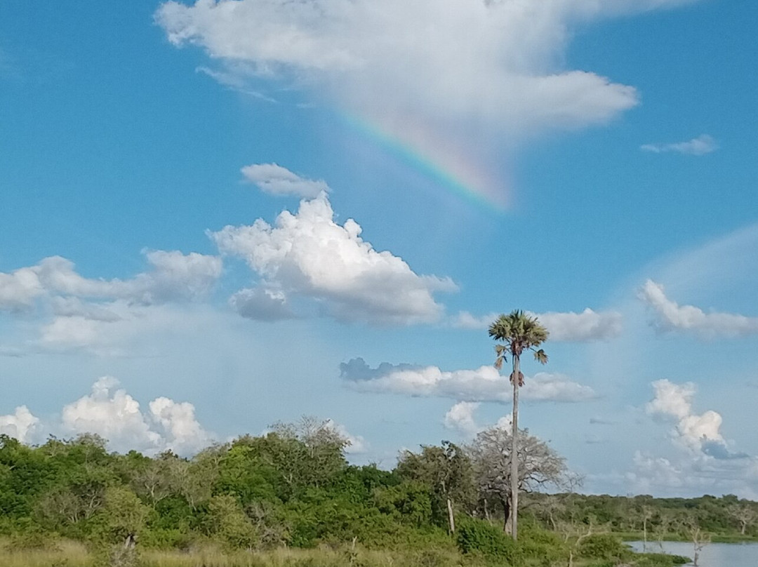 3 days murchison falls-Pakwach必去景点