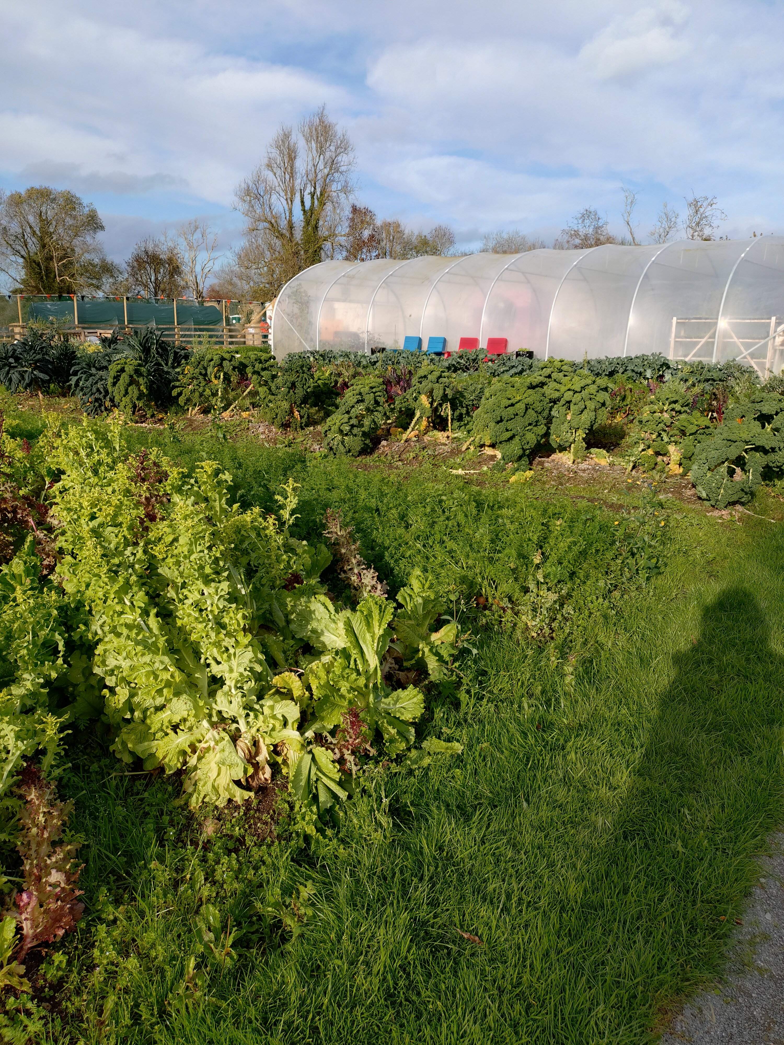 Fitzgerald's Woodlands House Hotel-浴室