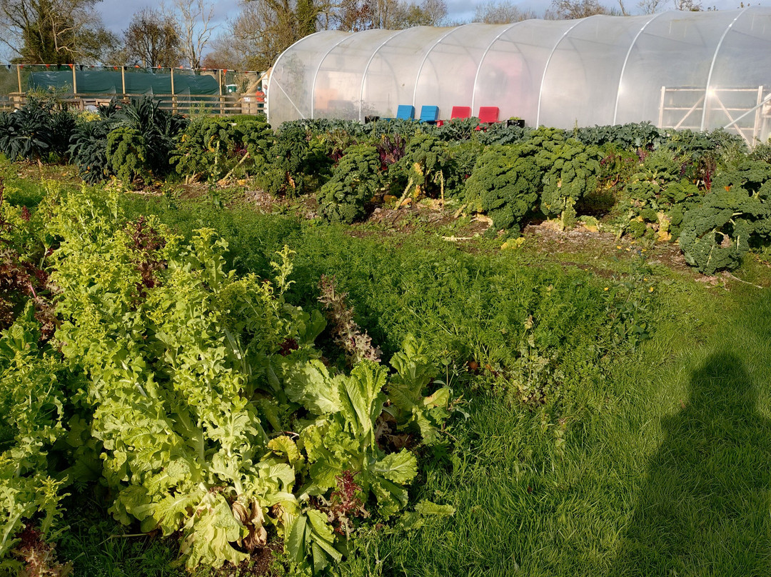 Fitzgerald's Woodlands House Hotel主图