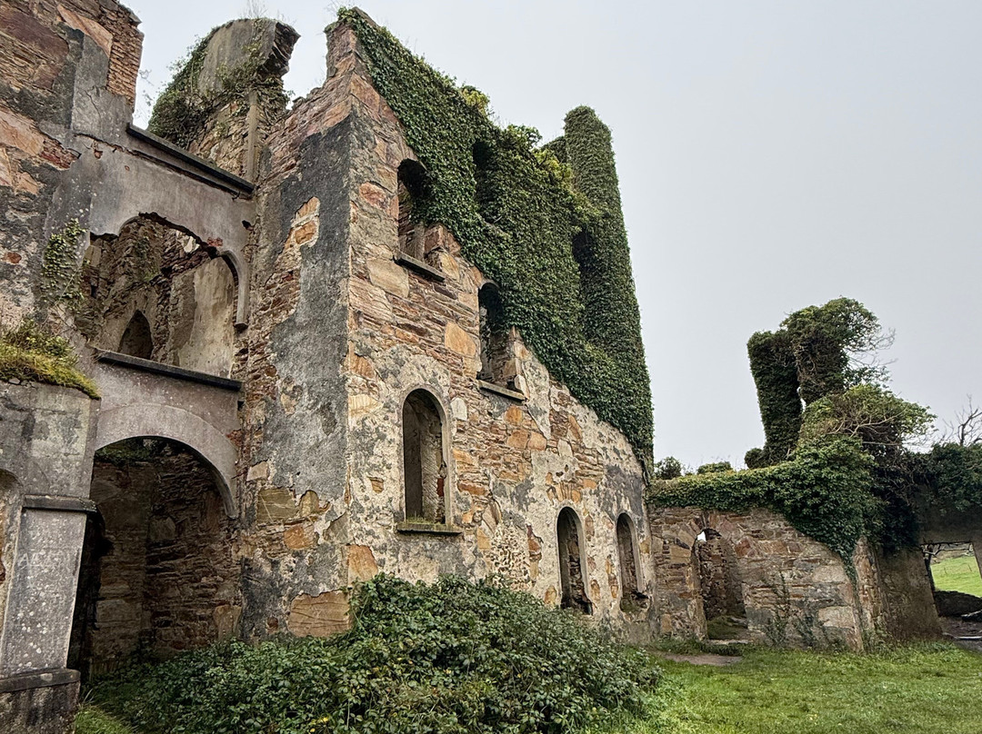 Clifden Castle-Clifden必去景点