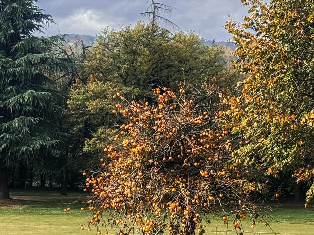 Golf del Ducato - Parma Golf-Vigatto必去景点