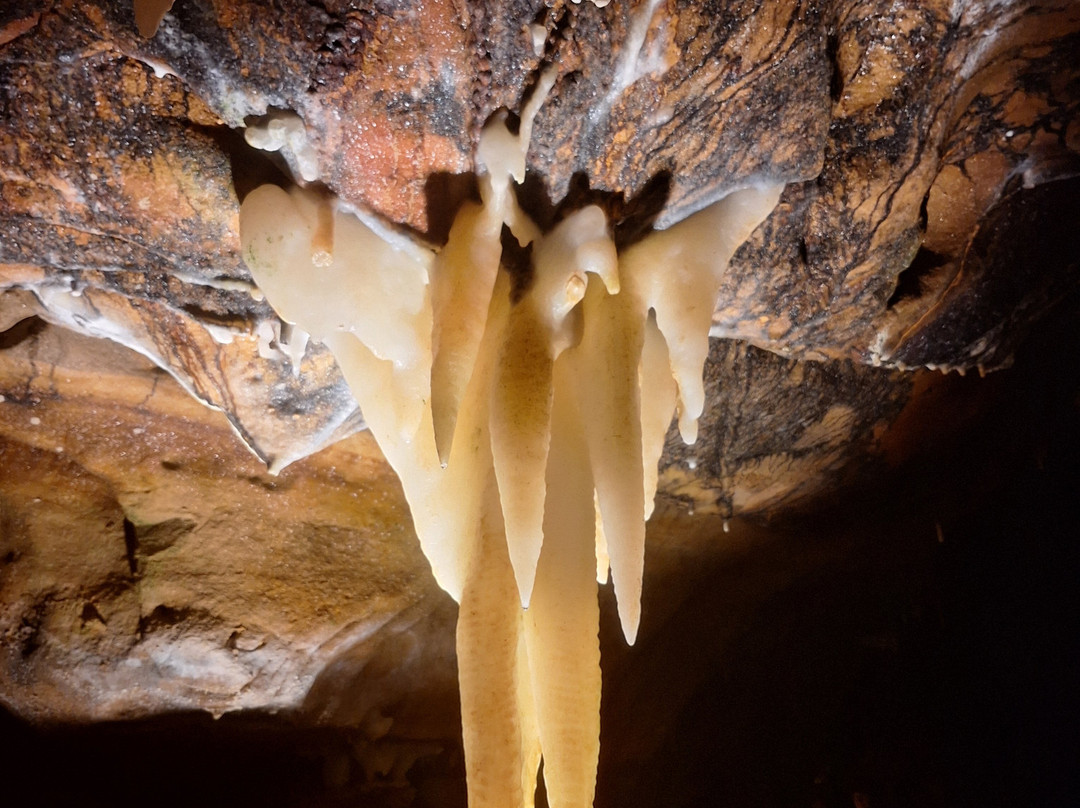 Ohio Caverns-West Liberty必去景点