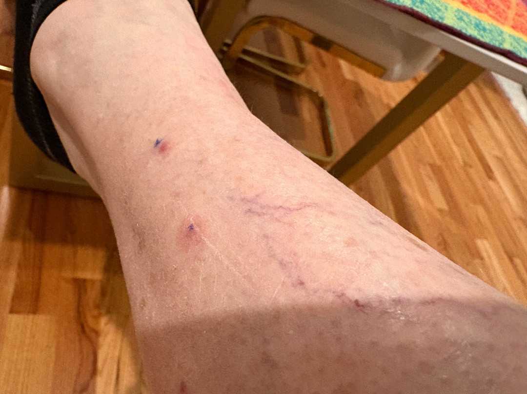 万豪酒店-亚历山大五角大楼南主图