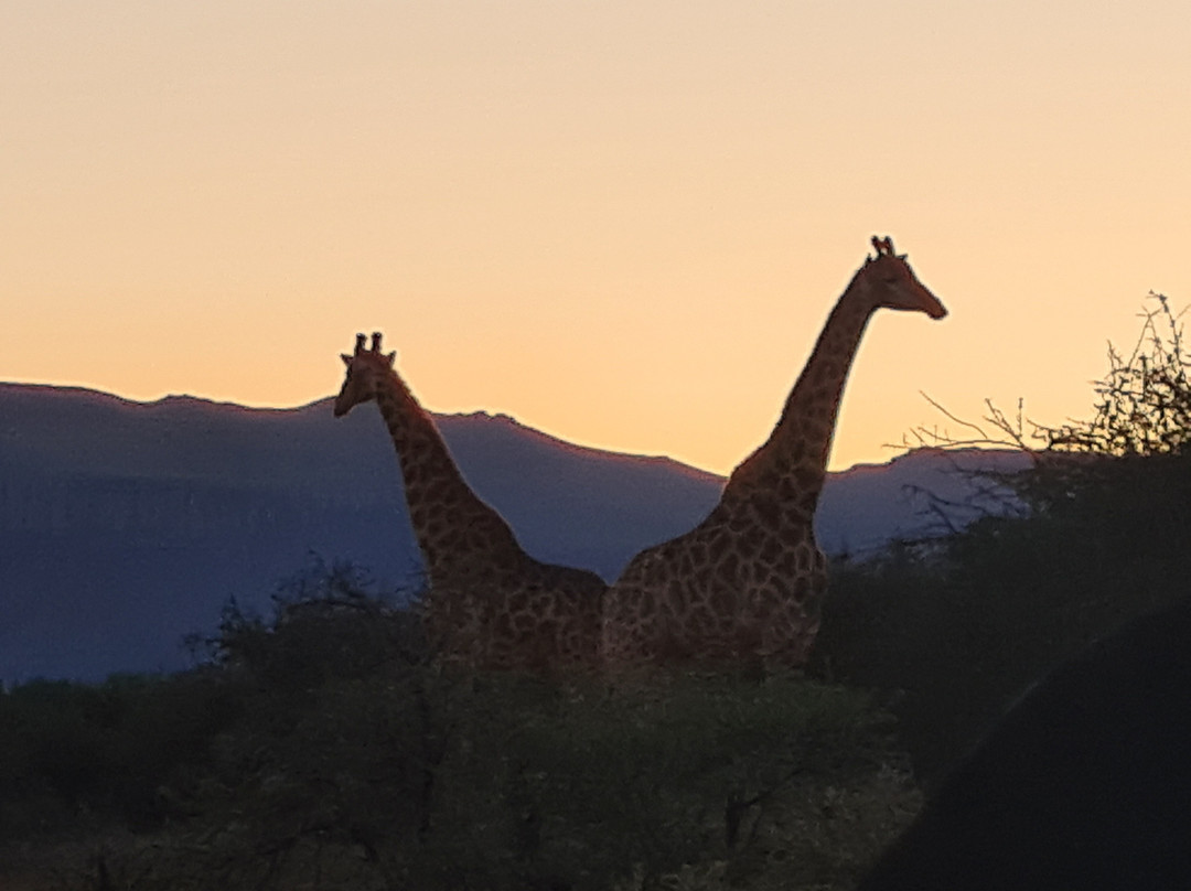 Mount Camdeboo Private Game Reserve主图