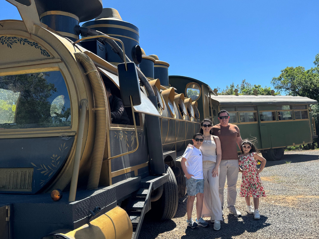 Parque Olivas de Gramado-格拉玛多必去景点