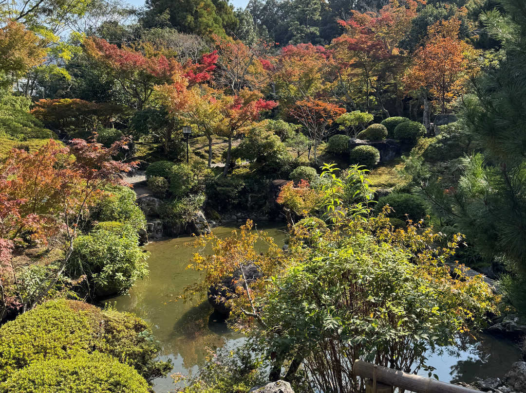 吉城园-奈良市必去景点