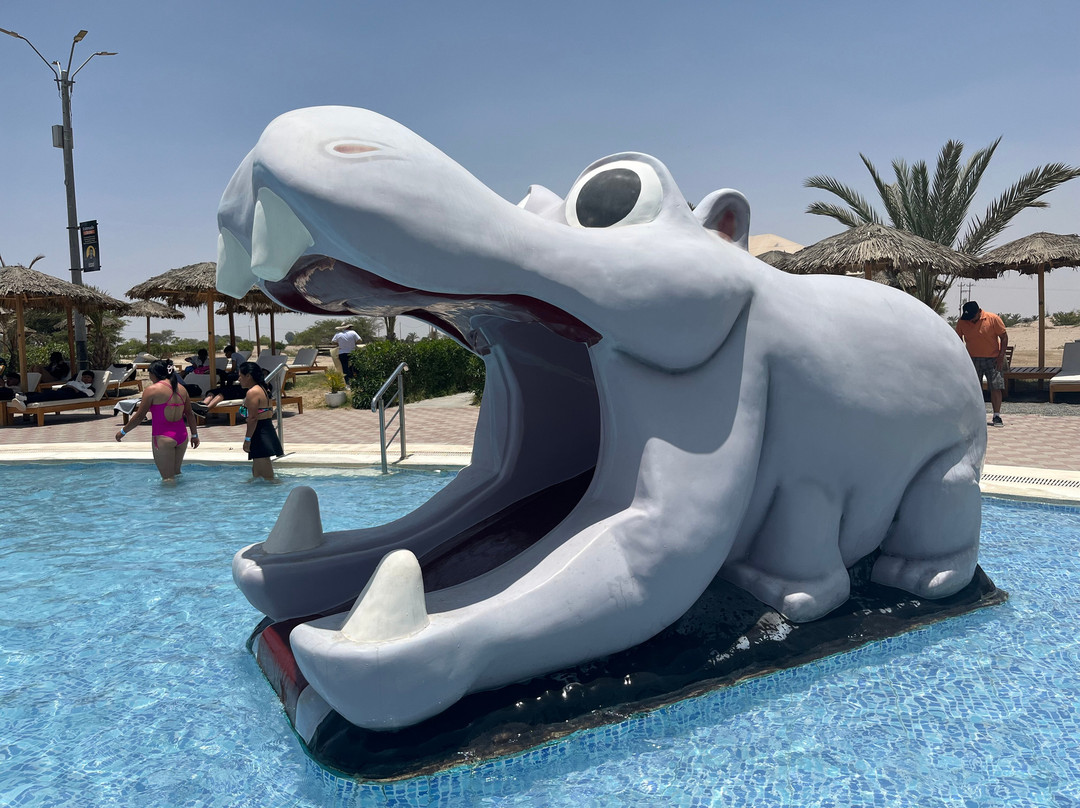 Dromedarius-伊卡必去景点