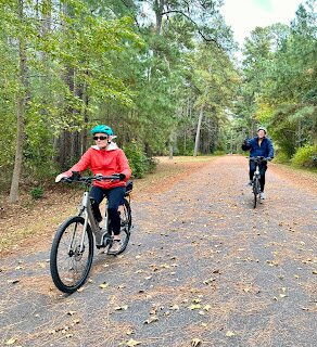 Great Bike Tours-谢尔本必去景点