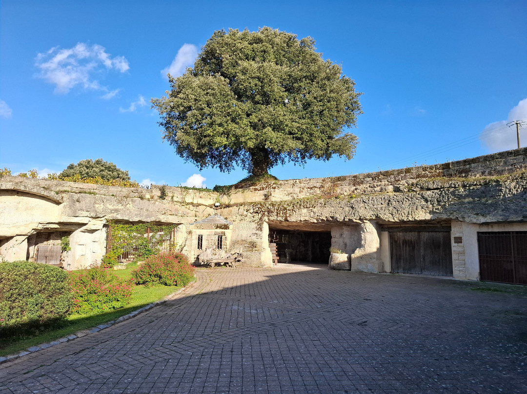 Chateau Franc Mayne-圣埃美隆必去景点