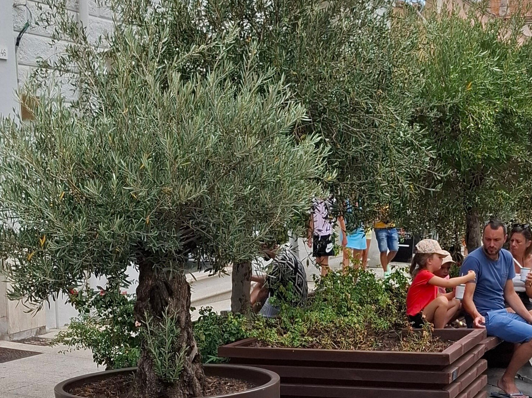 Corso Umberto I-奥尔比亚必去景点