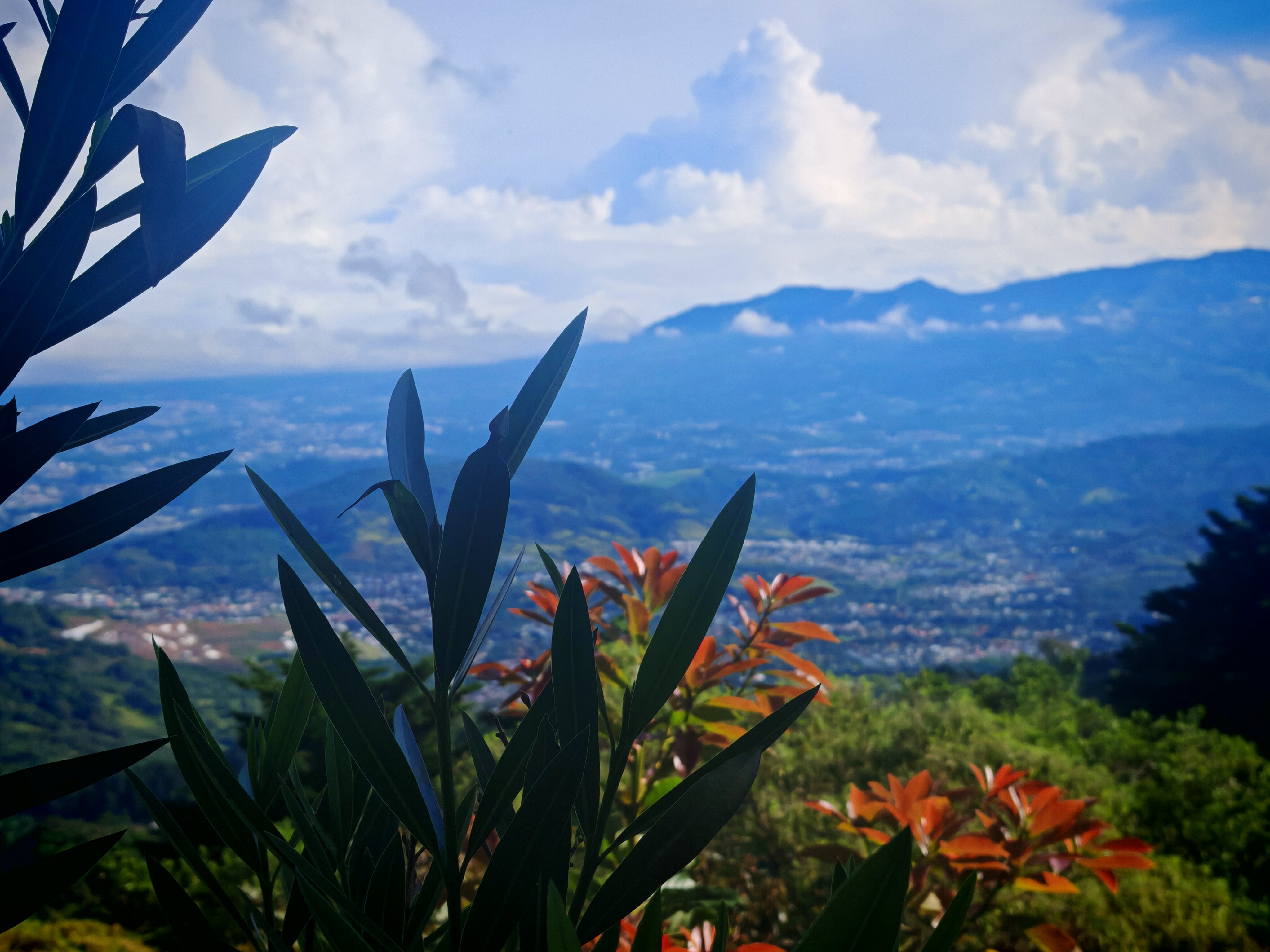 Hotel Colinas Altavista-官方