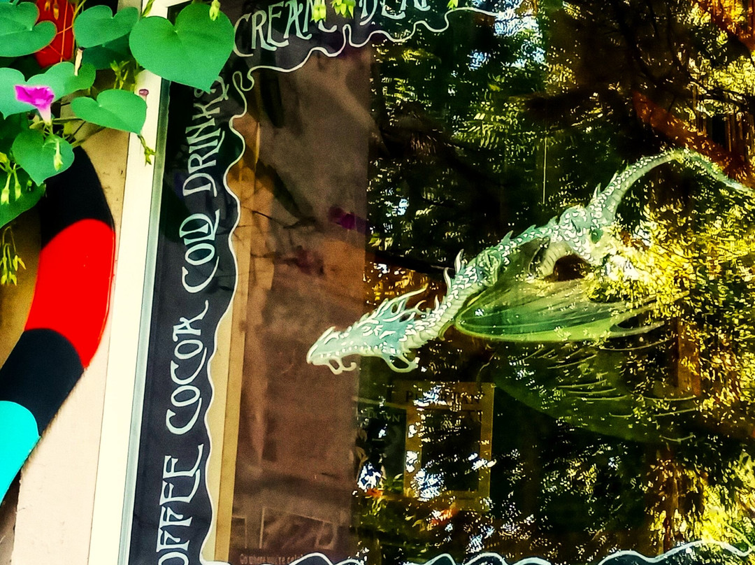 White Rabbit Books and Curiosities-杜兰戈必去景点